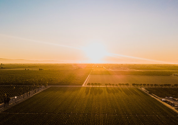 Meteofarm.gr - Agricultural weather forecast